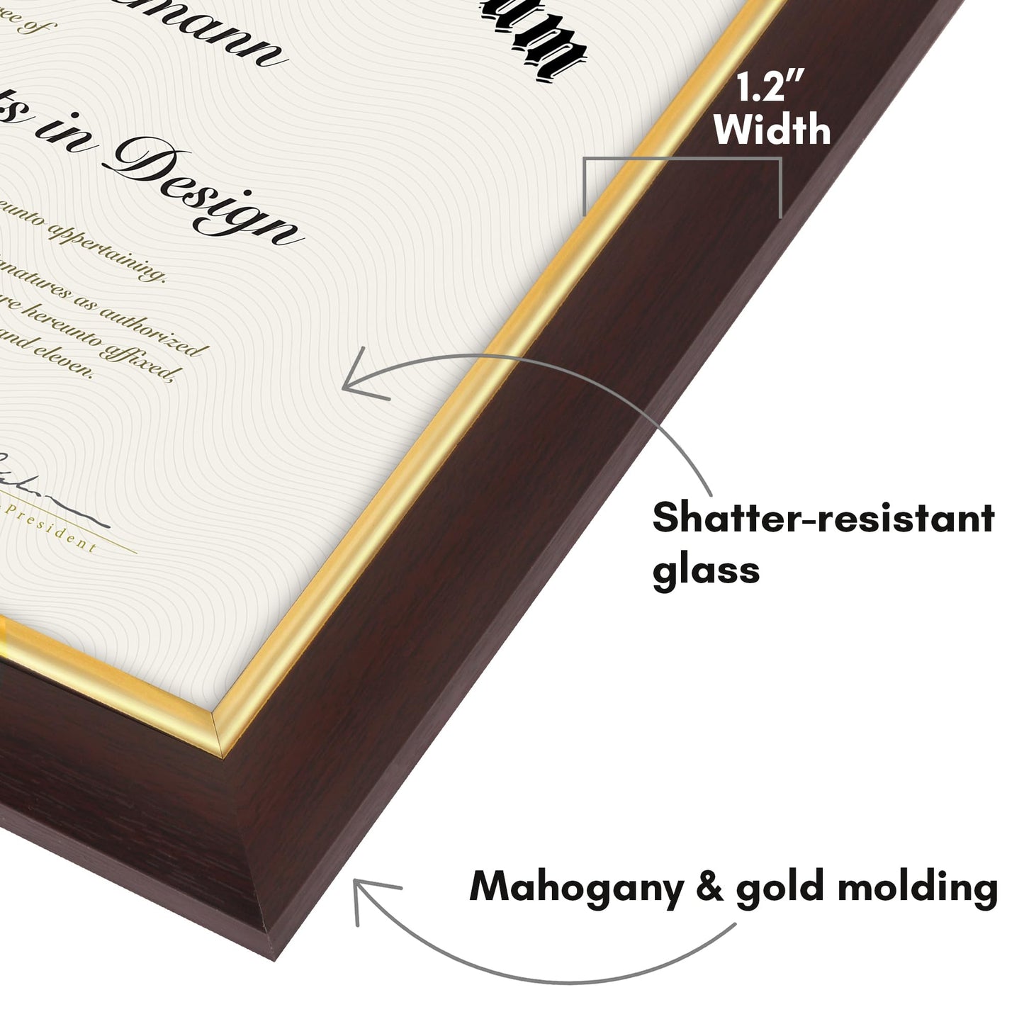 Legacy Unmatted Document Frame