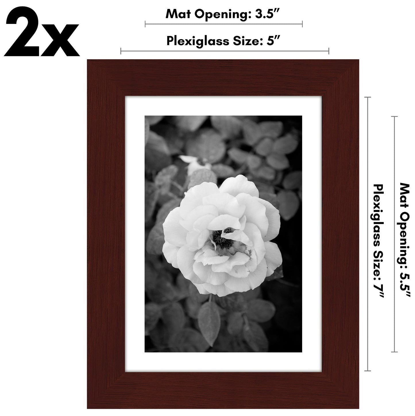 Americanflat Galleria Picture Frames | Set of 2 | With Mat | Acrylic