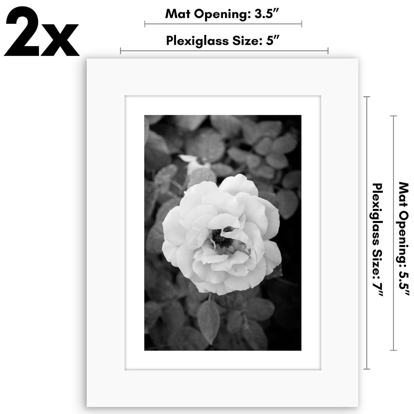 Americanflat Galleria Picture Frames | Set of 2 | With Mat | Acrylic