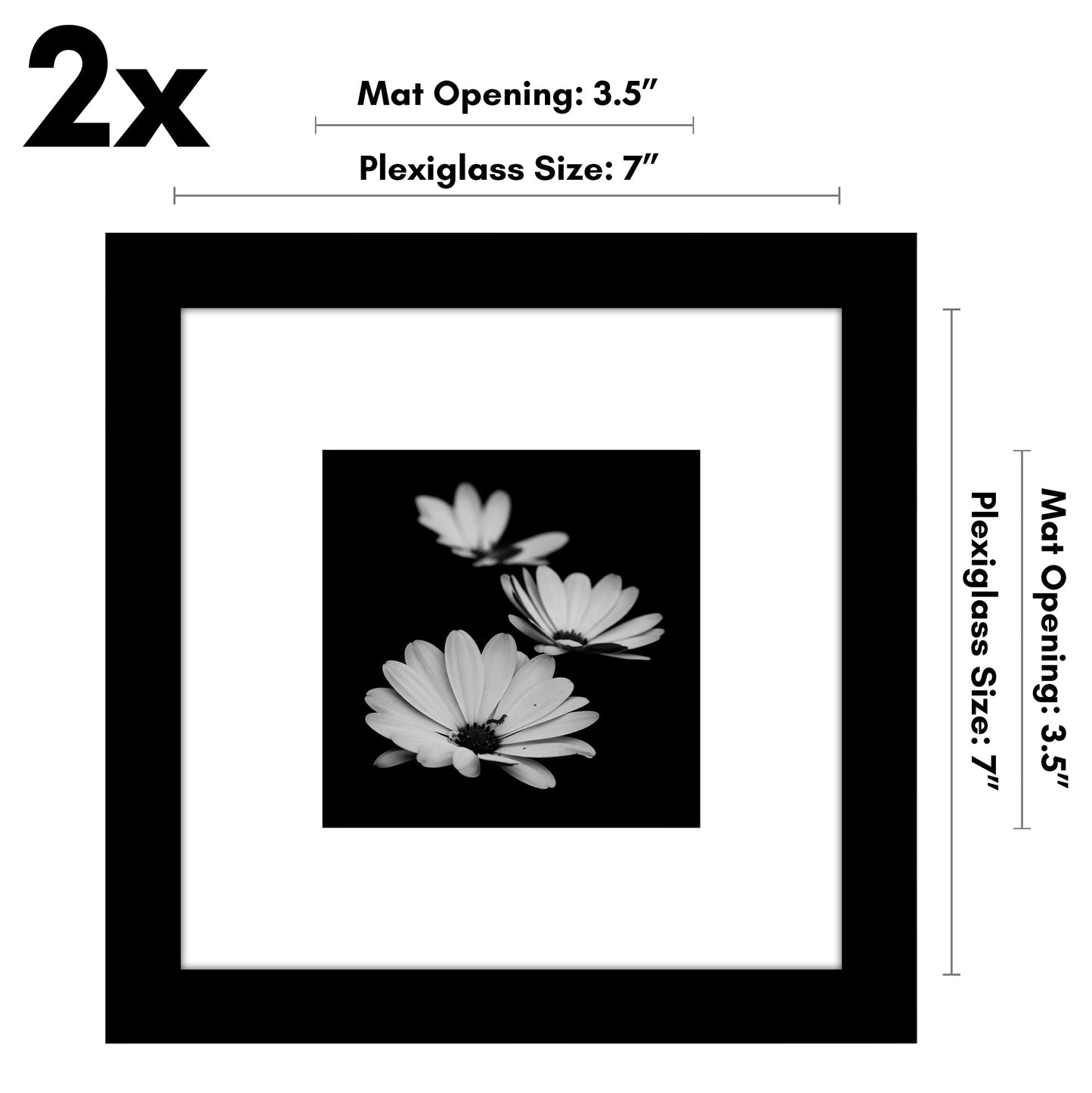 Americanflat Galleria Picture Frames | Set of 2 | With Mat | Acrylic