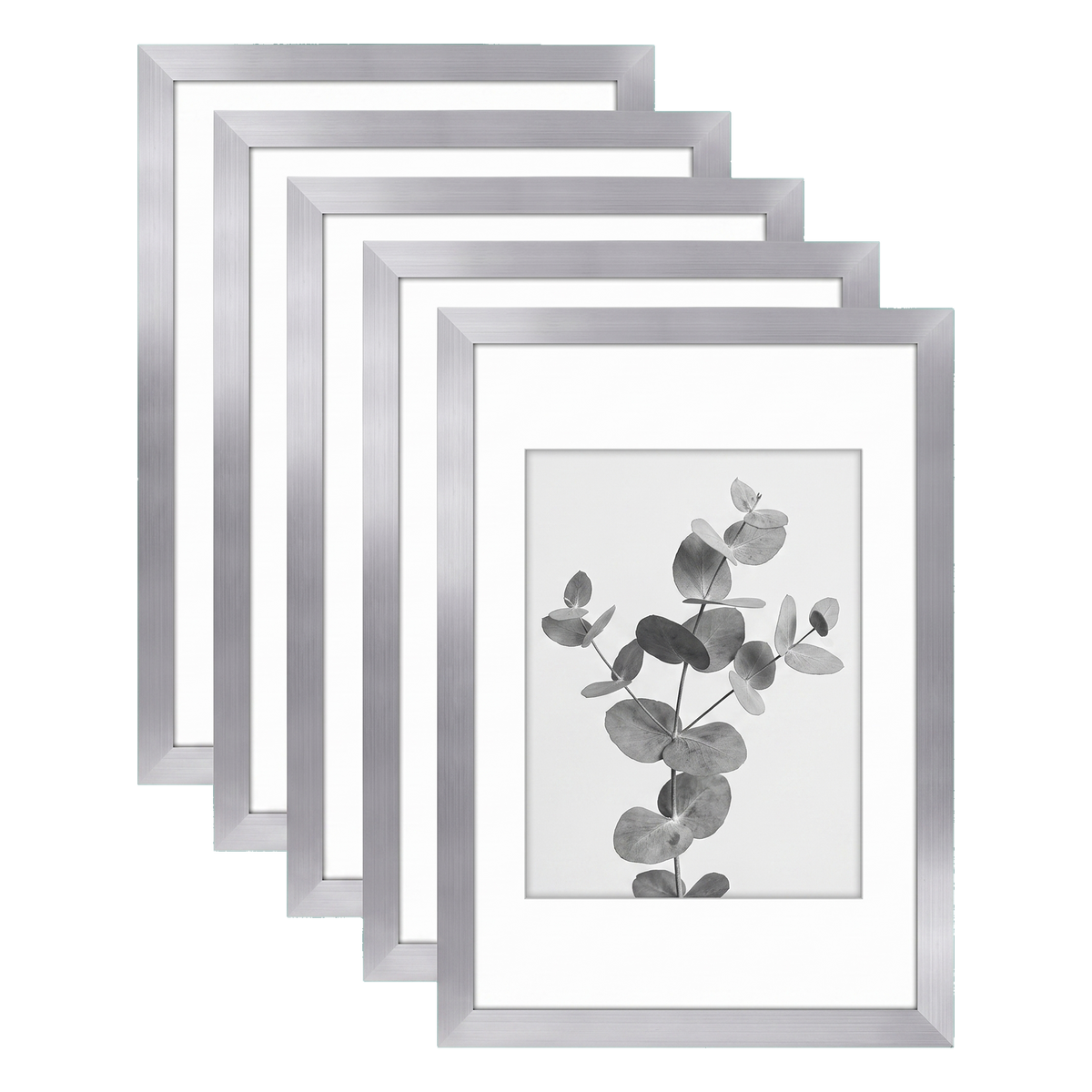Five stacked silver Galleria frames with white mats, holding a photo of eucalyptus stems 