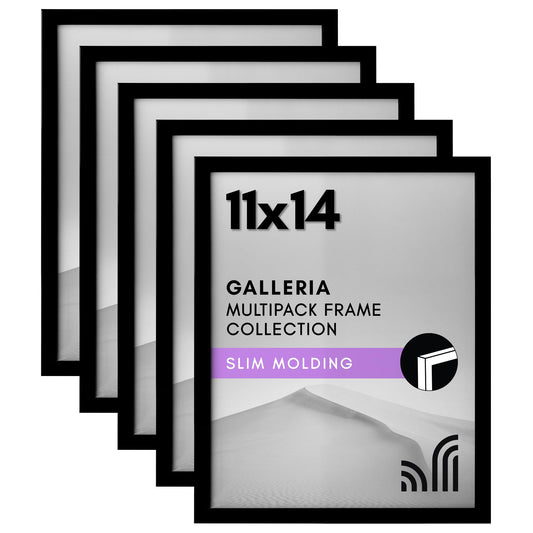Set of 5 - Classic Gallery Picture Frame without Mat | Galleria Collection