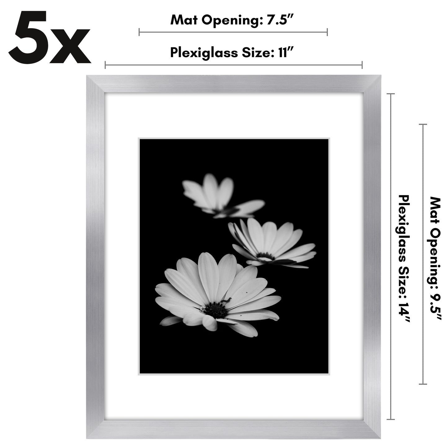 11x14 Picture Frame with Polished Plexiglass - Set of 5 - Use as 8x10 Frame with Mat or 11x14 Frame Without Mat