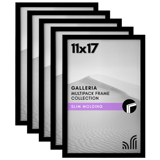 Set of 5 - Classic Gallery Picture Frame without Mat | Galleria Collection
