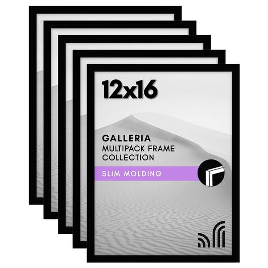 Set of 5 - Classic Gallery Picture Frame without Mat | Galleria Collection