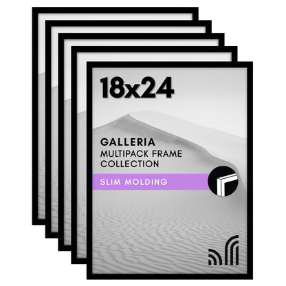 Set of 5 - Classic Gallery Picture Frame without Mat | Galleria Collection