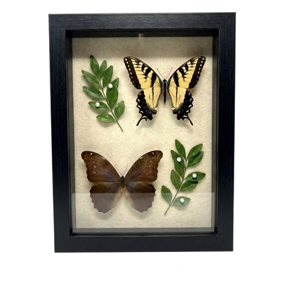Silhouette Keepsake Shadow Box — 5x7 / Black