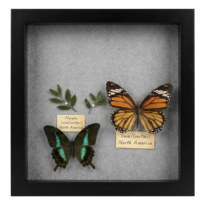 Silhouette Keepsake Shadow Box — 8x8 / Black