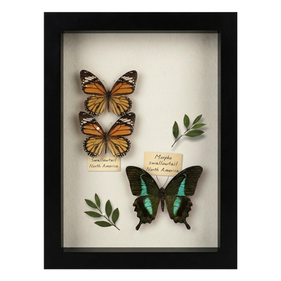 Silhouette Keepsake Shadow Box — 8x10 / Black