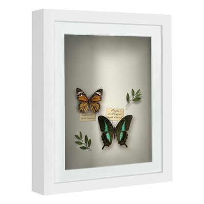 Silhouette Matted Keepsake Shadow Box — 10x12 / White