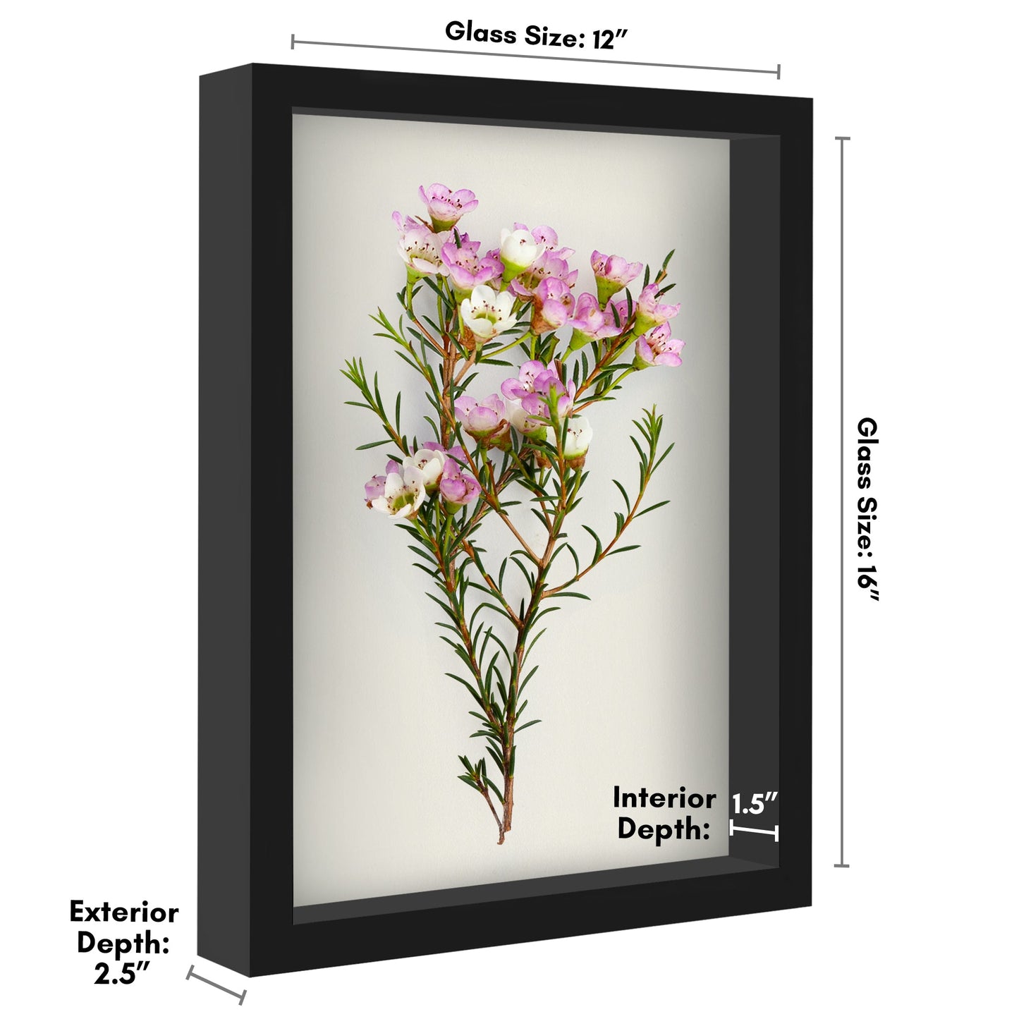 Shadow Box Frame - Variety of colors and sizes
