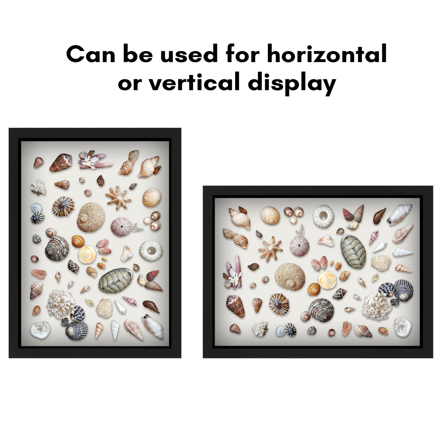 Shadow Box Frame - Variety of colors and sizes