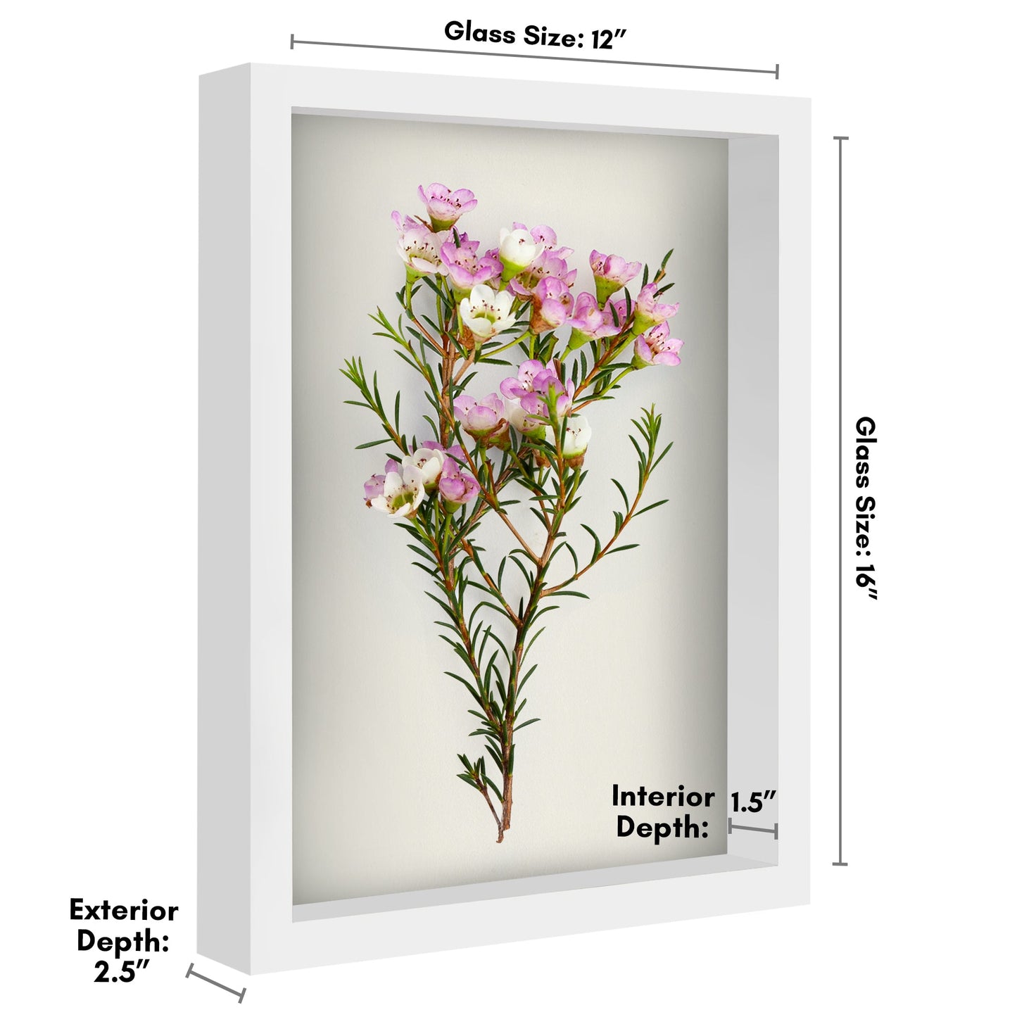 Shadow Box Frame - Variety of colors and sizes