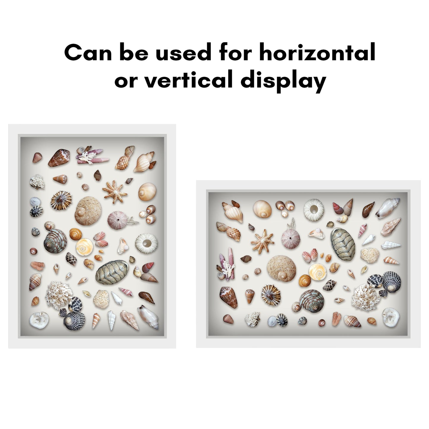 Shadow Box Frame - Variety of colors and sizes