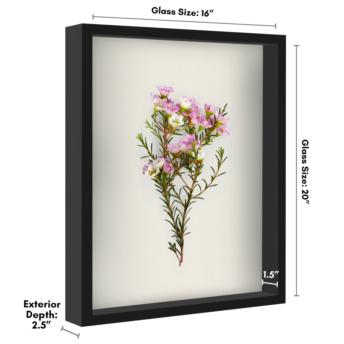 Shadow Box Frame - Variety of colors and sizes