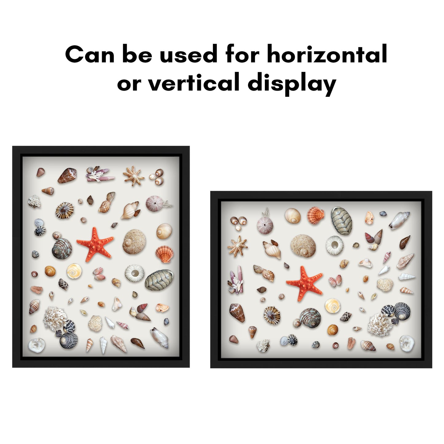 Shadow Box Frame - Variety of colors and sizes