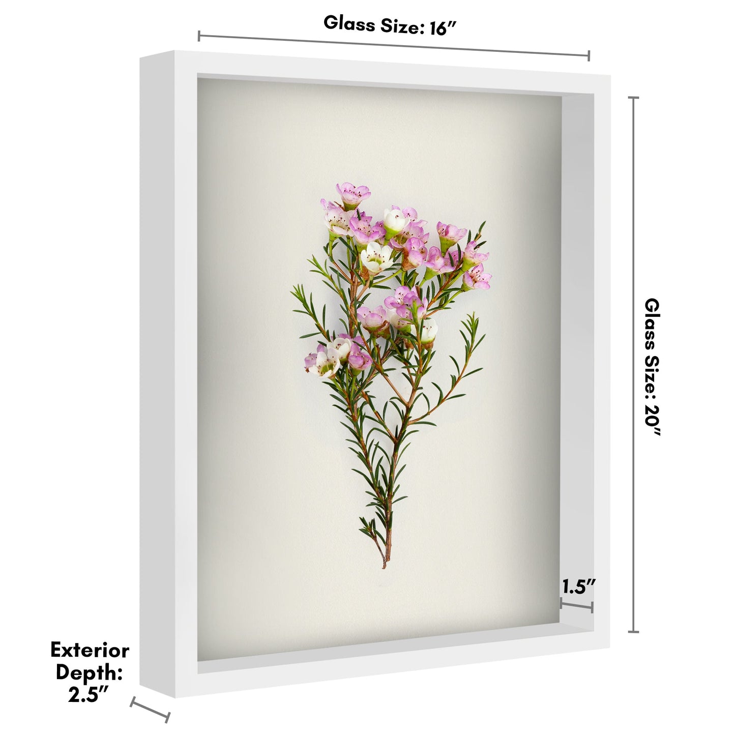 Shadow Box Frame - Variety of colors and sizes