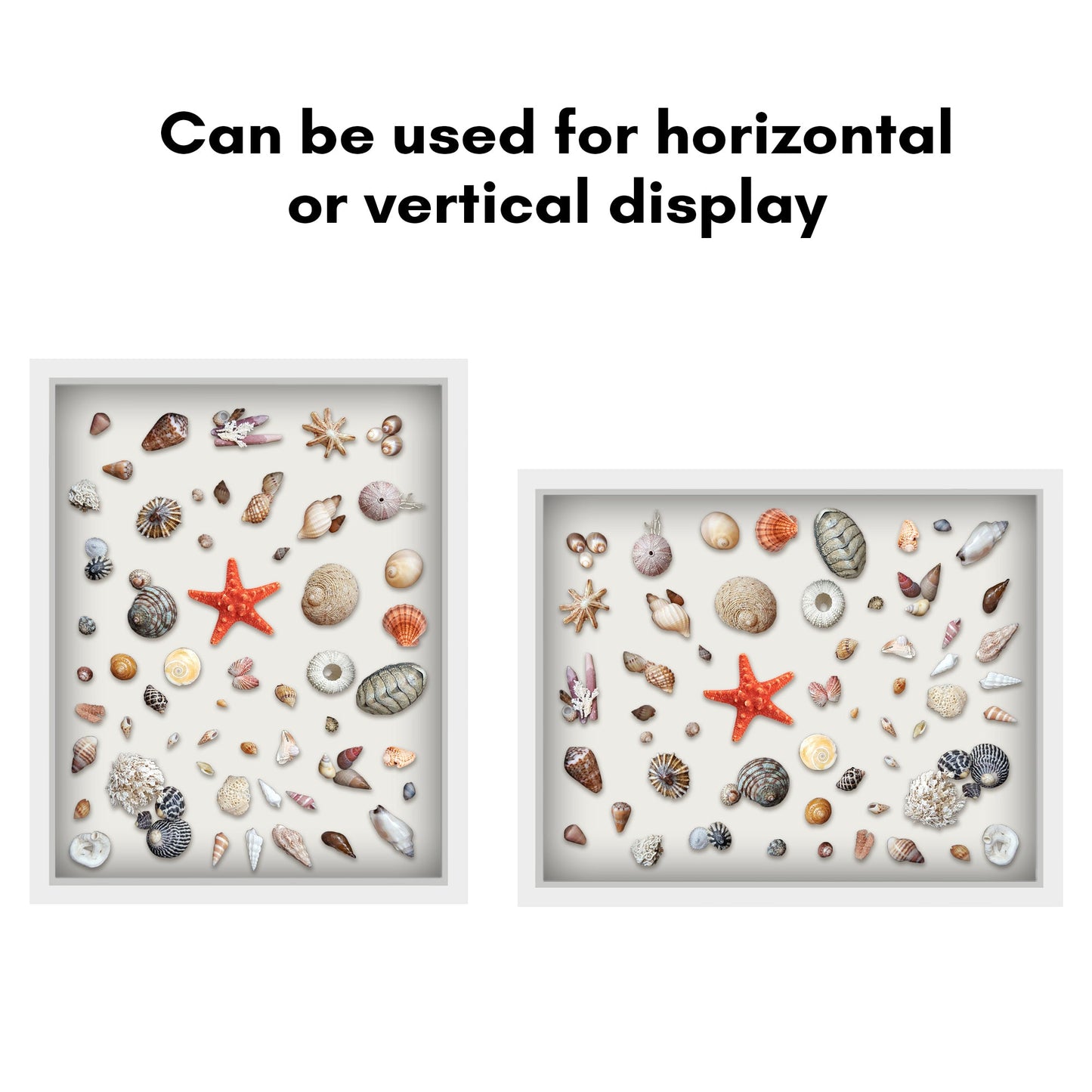 Shadow Box Frame - Variety of colors and sizes