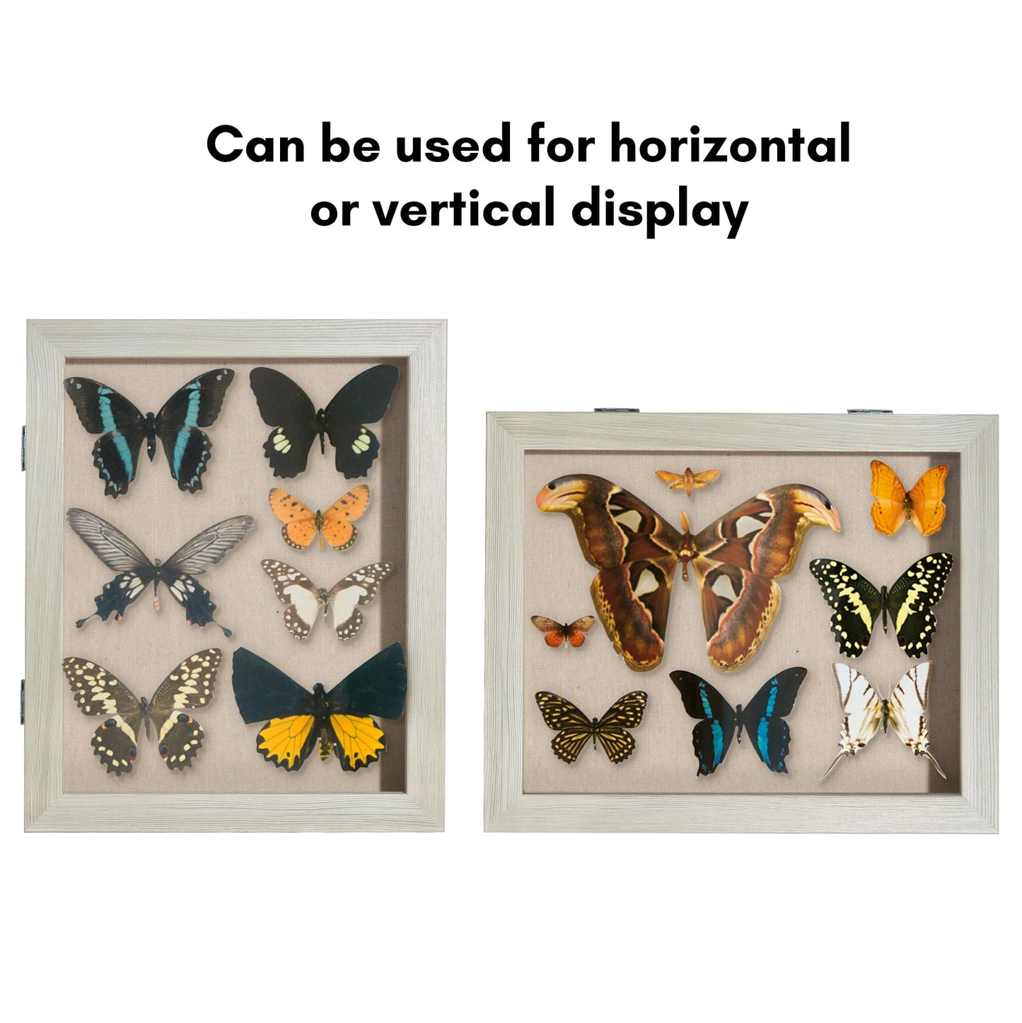 Shadow Box Keepsake Frame | Silhouette Collection | Deep Display | Modern Decor