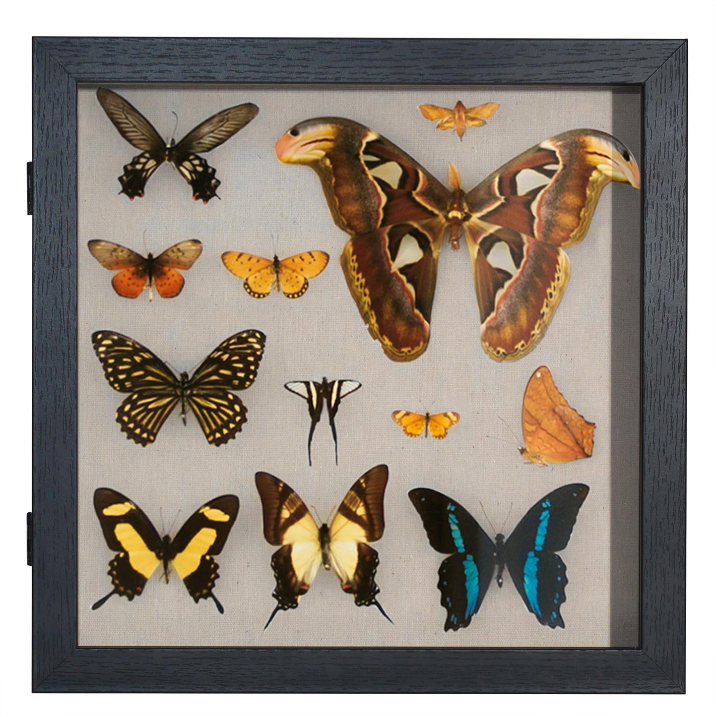 Shadow Box Keepsake Frame | Silhouette Collection | Deep Display | Modern Decor