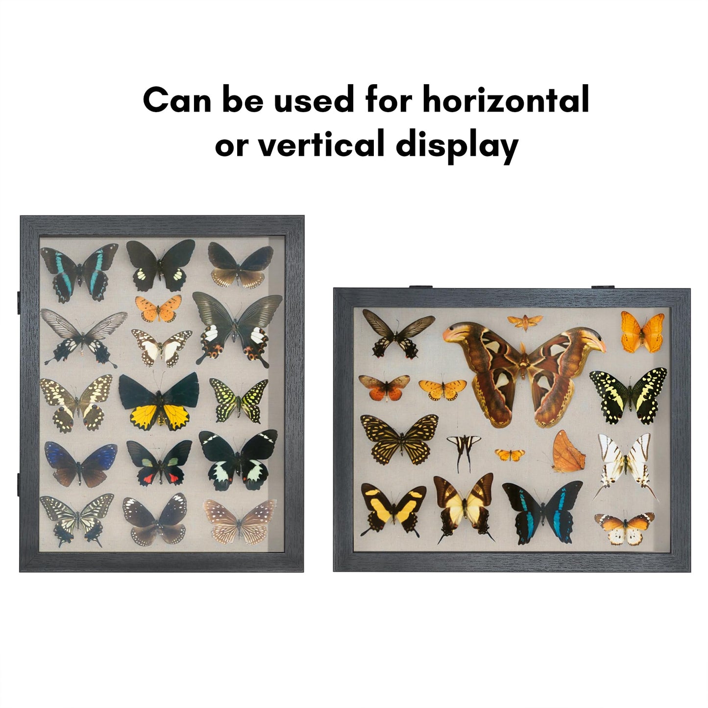 Shadow Box Keepsake Frame | Silhouette Collection | Deep Display | Modern Decor