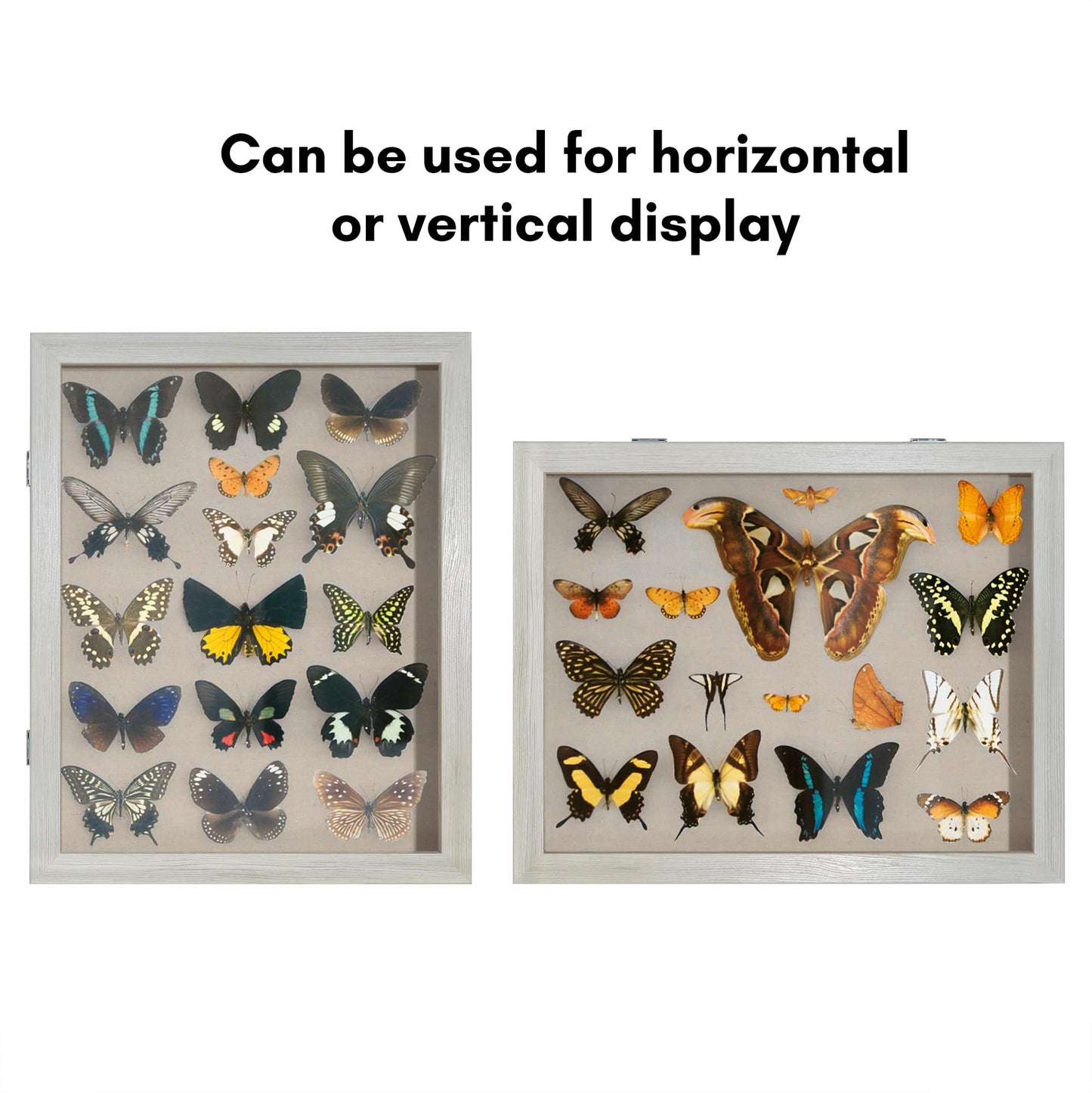 Shadow Box Keepsake Frame | Silhouette Collection | Deep Display | Modern Decor
