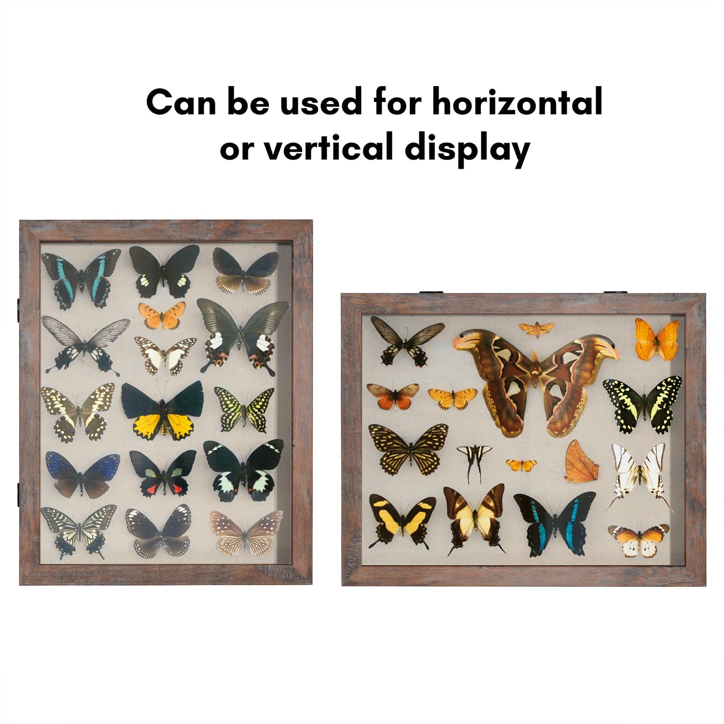 Shadow Box Keepsake Frame | Silhouette Collection | Deep Display | Modern Decor