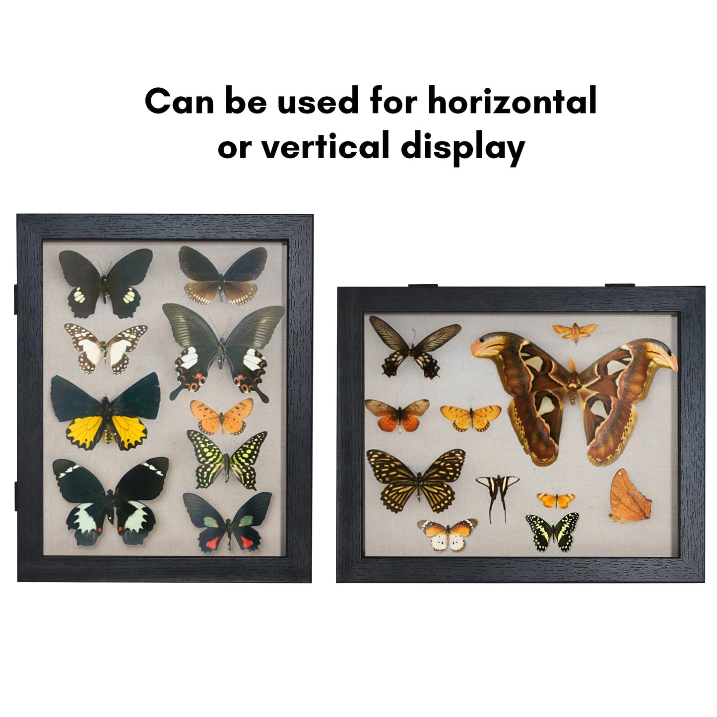 Shadow Box Keepsake Frame | Silhouette Collection | Deep Display | Modern Decor