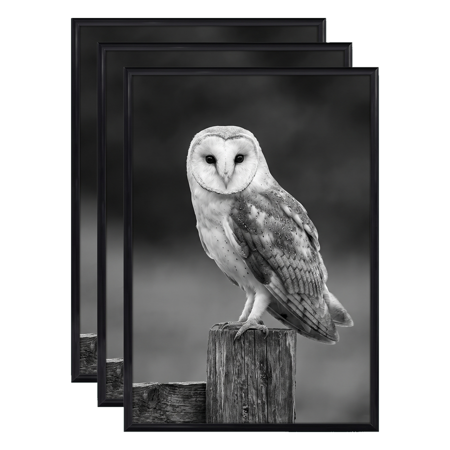 Three stacked black 12x16 Fusion frames all holding the same barn owl on a post photo 