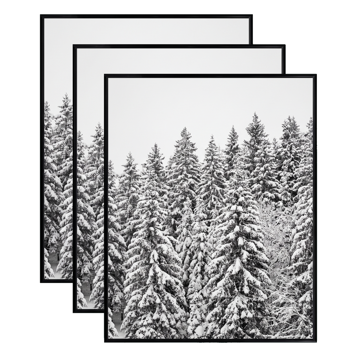 Three stacked black 20x24 Fusion frames all holding the same snow-covered pine forest photo 