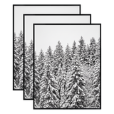 Three stacked black 20x24 Fusion frames all holding the same snow-covered pine forest photo 