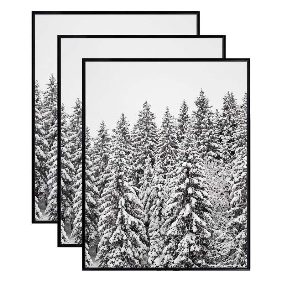 Three stacked black 20x24 Fusion frames all holding the same snow-covered pine forest photo 