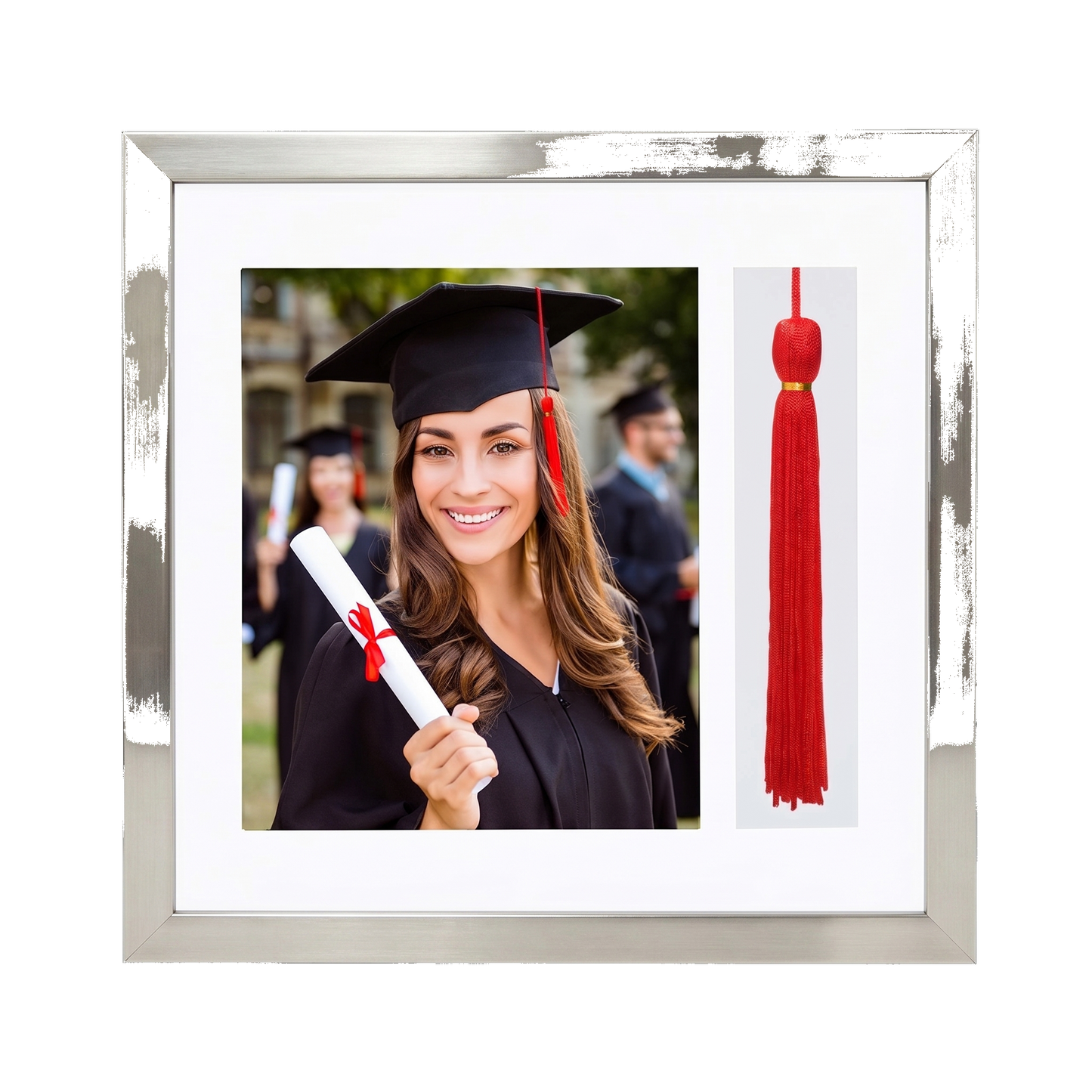 Legacy Unmatted Document Frame Silver