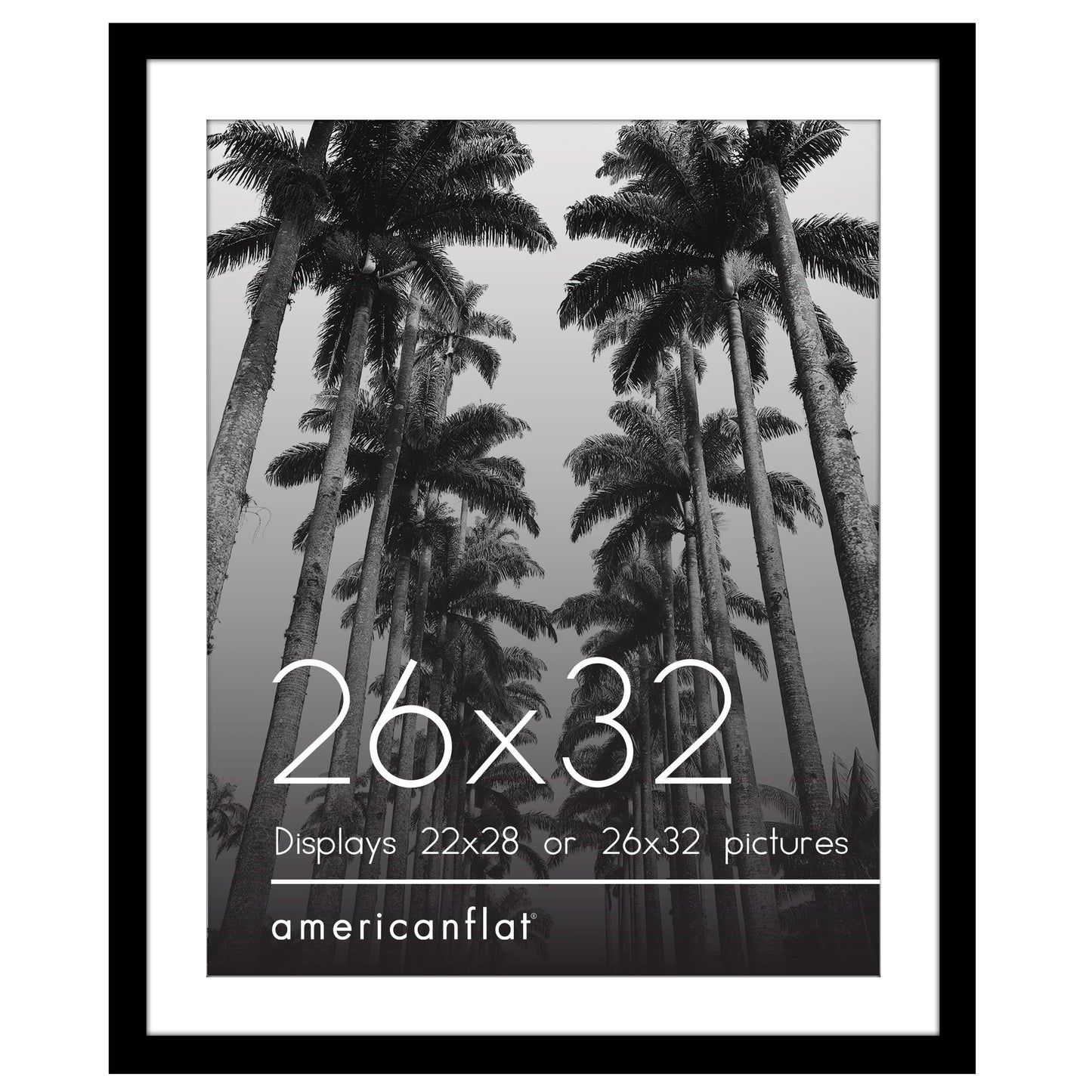 Black Picture Frame With Mat | Plexiglass Cover | Wall Display | Modern Design - Americanflat