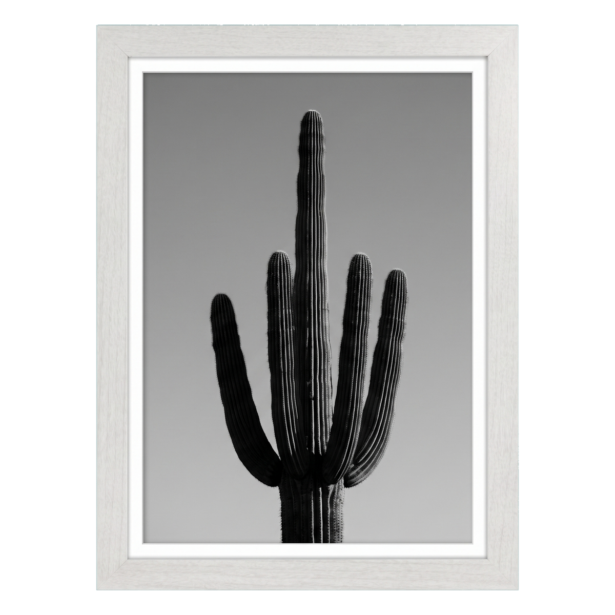 White woodgrain Hudson frame, 12x18, with an 11x17 white mat, holding a black-and-white photo of a saguaro cactus 