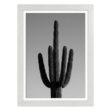 White woodgrain Hudson frame, 12x18, with an 11x17 white mat, holding a black-and-white photo of a saguaro cactus 
