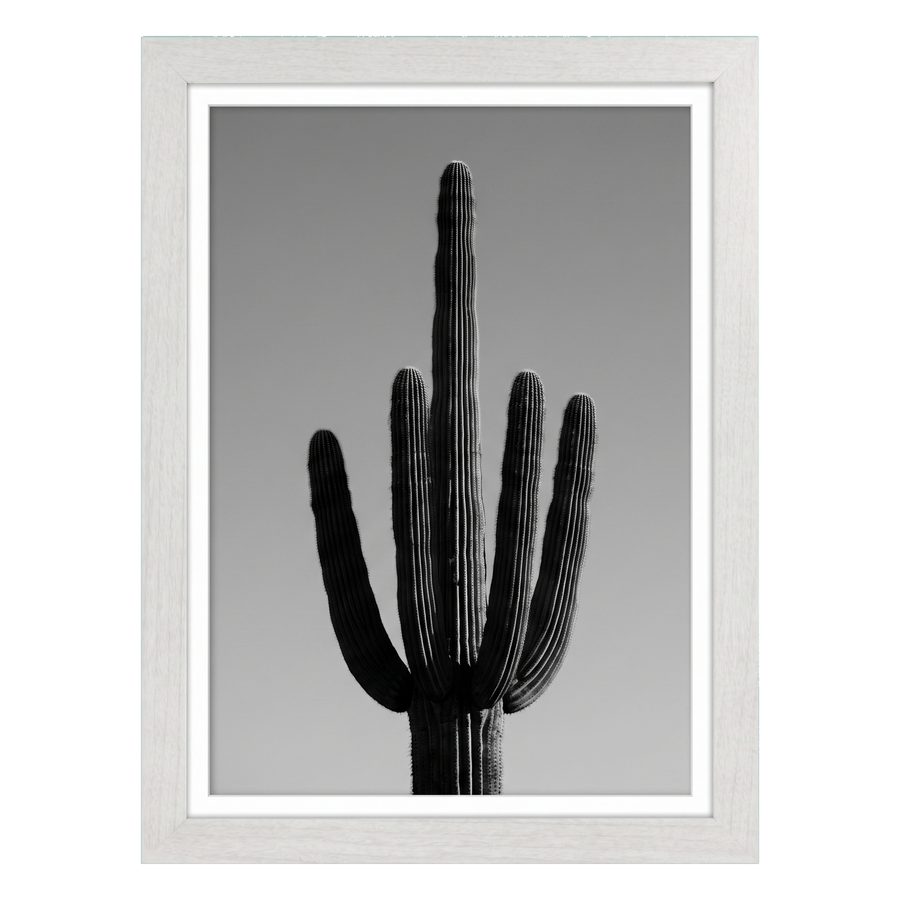 White woodgrain Hudson frame, 12x18, with an 11x17 white mat, holding a black-and-white photo of a saguaro cactus 