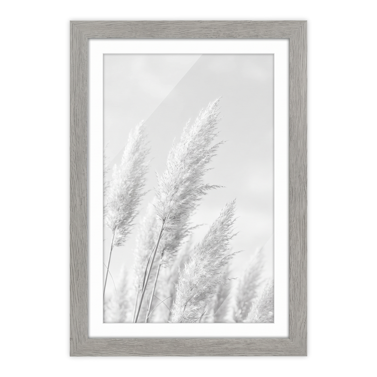 Grey woodgrain Hudson frame, 13x19, with an 11x17 white mat, holding a black-and-white photo of pampas grass plumes 