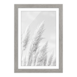 Grey woodgrain Hudson frame, 13x19, with an 11x17 white mat, holding a black-and-white photo of pampas grass plumes 