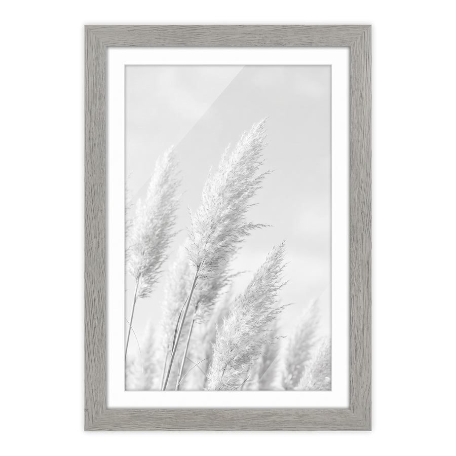 Grey woodgrain Hudson frame, 13x19, with an 11x17 white mat, holding a black-and-white photo of pampas grass plumes 