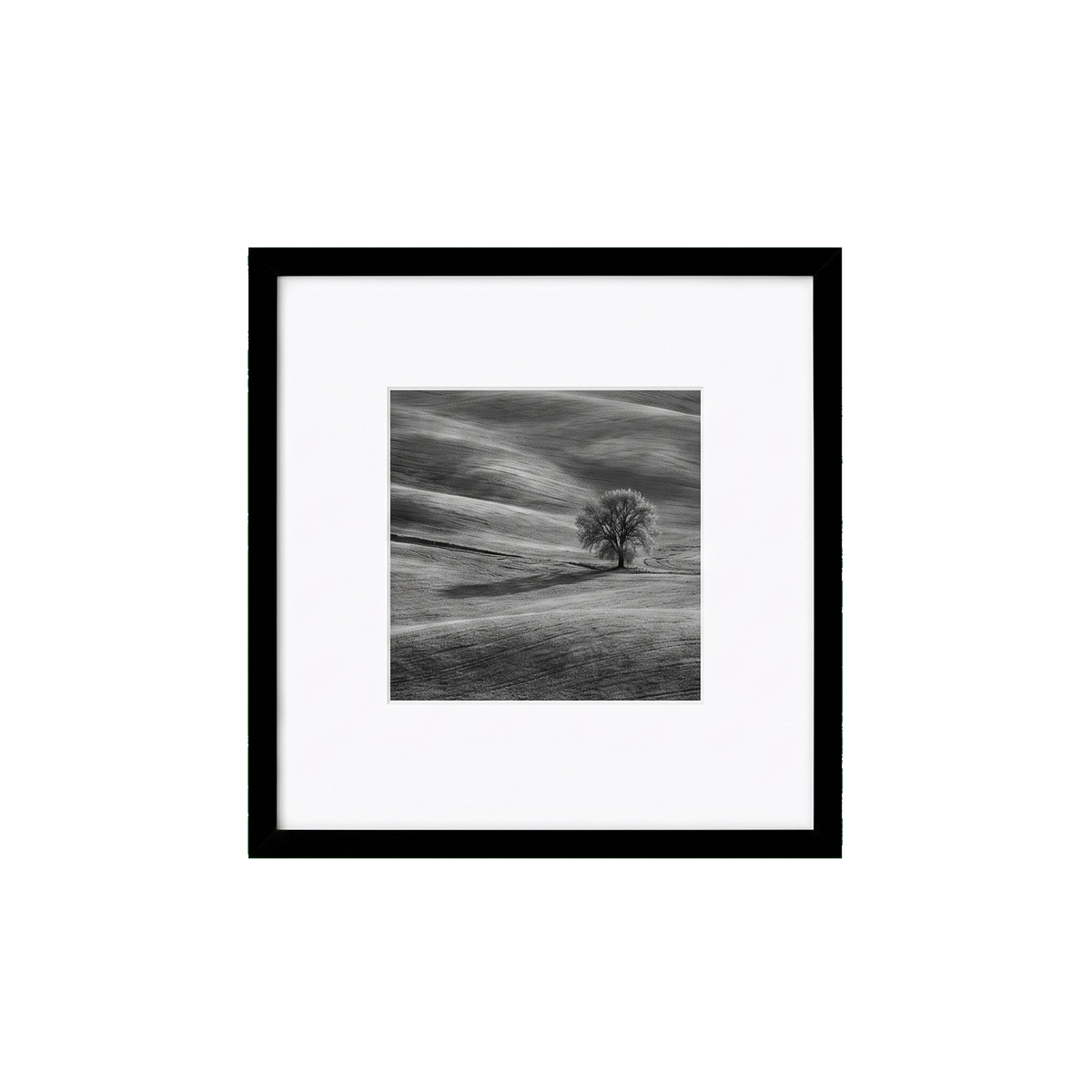 Streamline black square frame