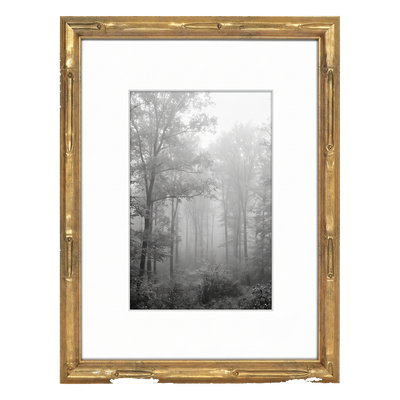 Memento matted Picture Frame — 8x10 / Gold / Matted