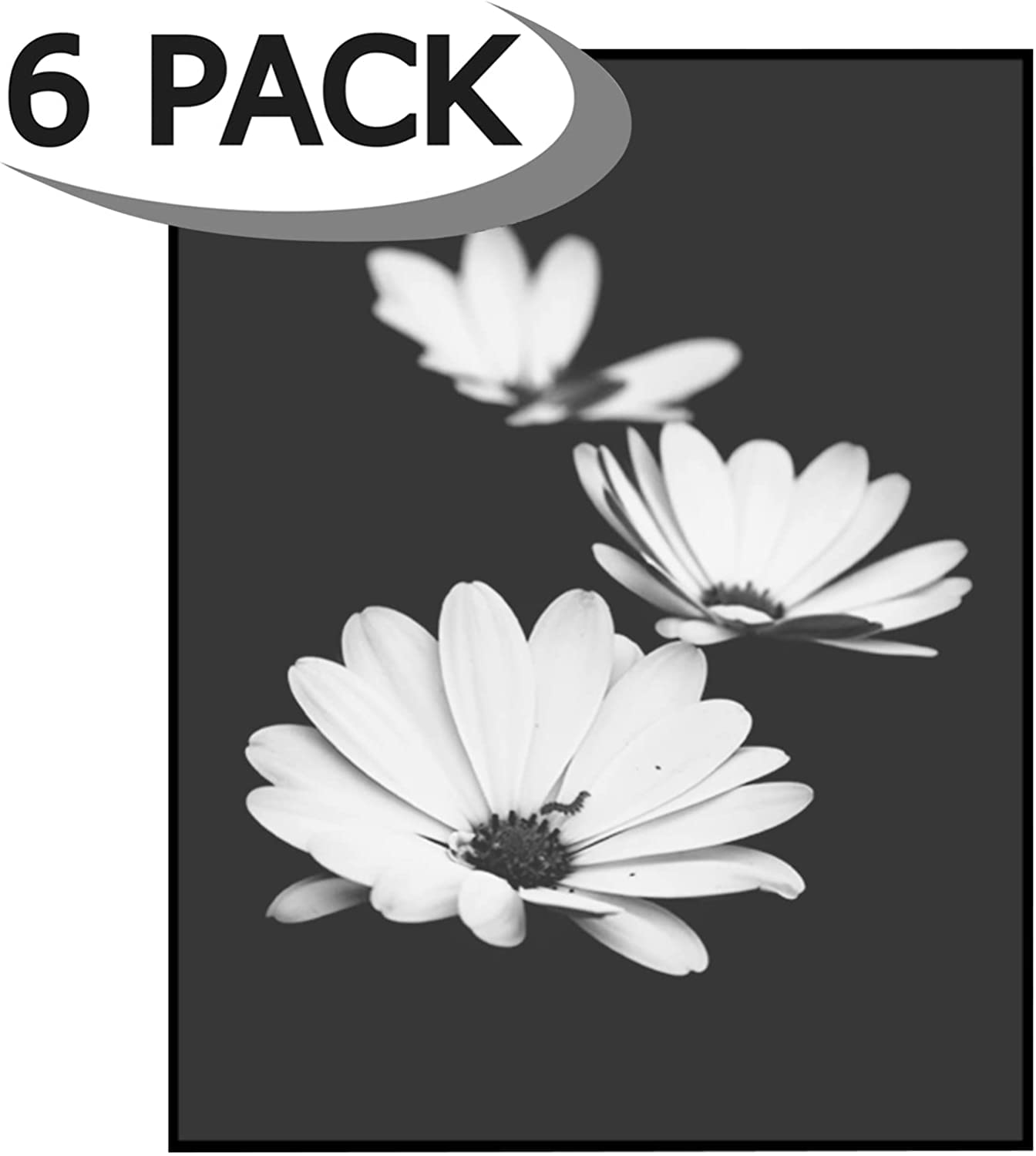 ABS8511BK6PK