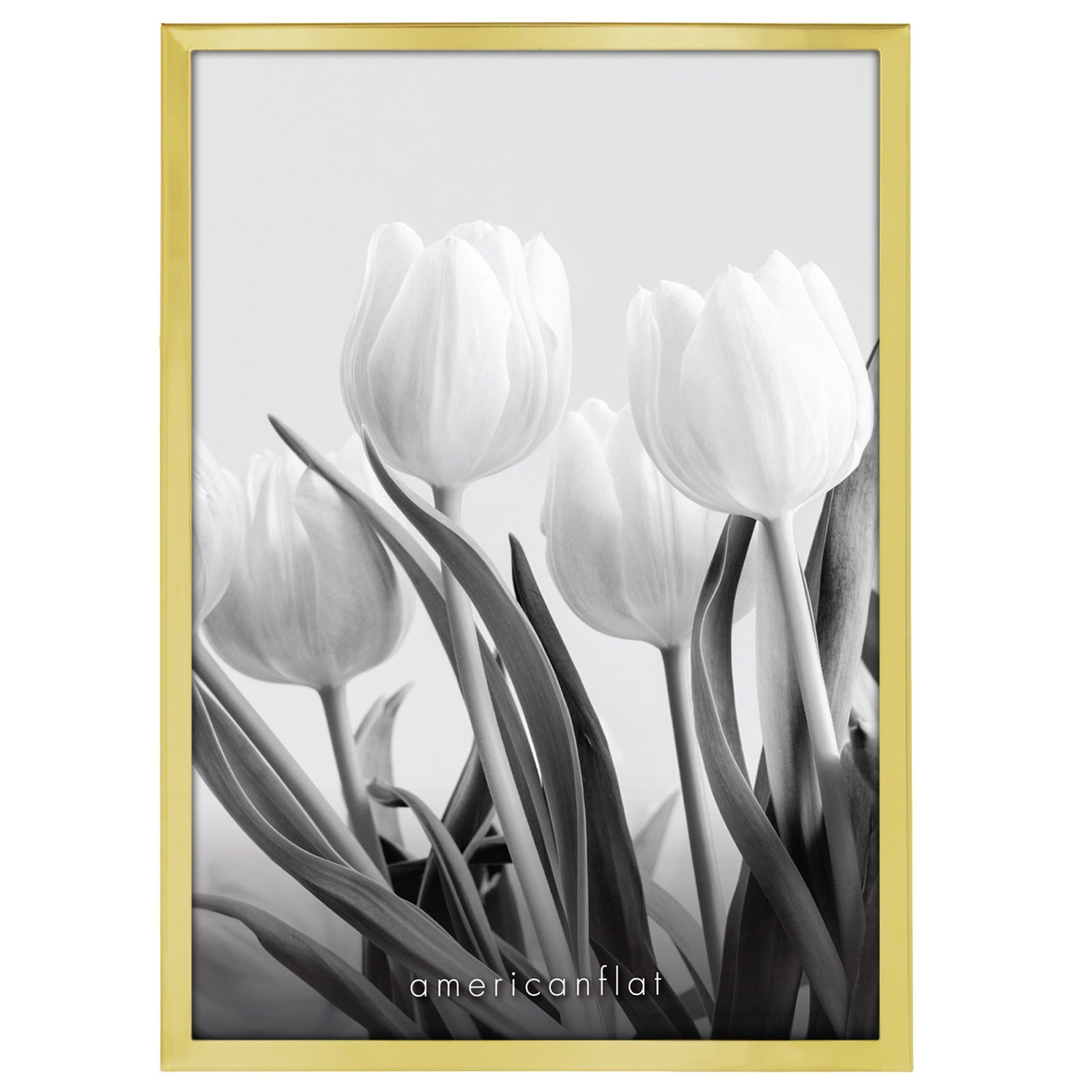 DIMFF0507GLD