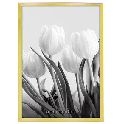 DIMFF0507GLD