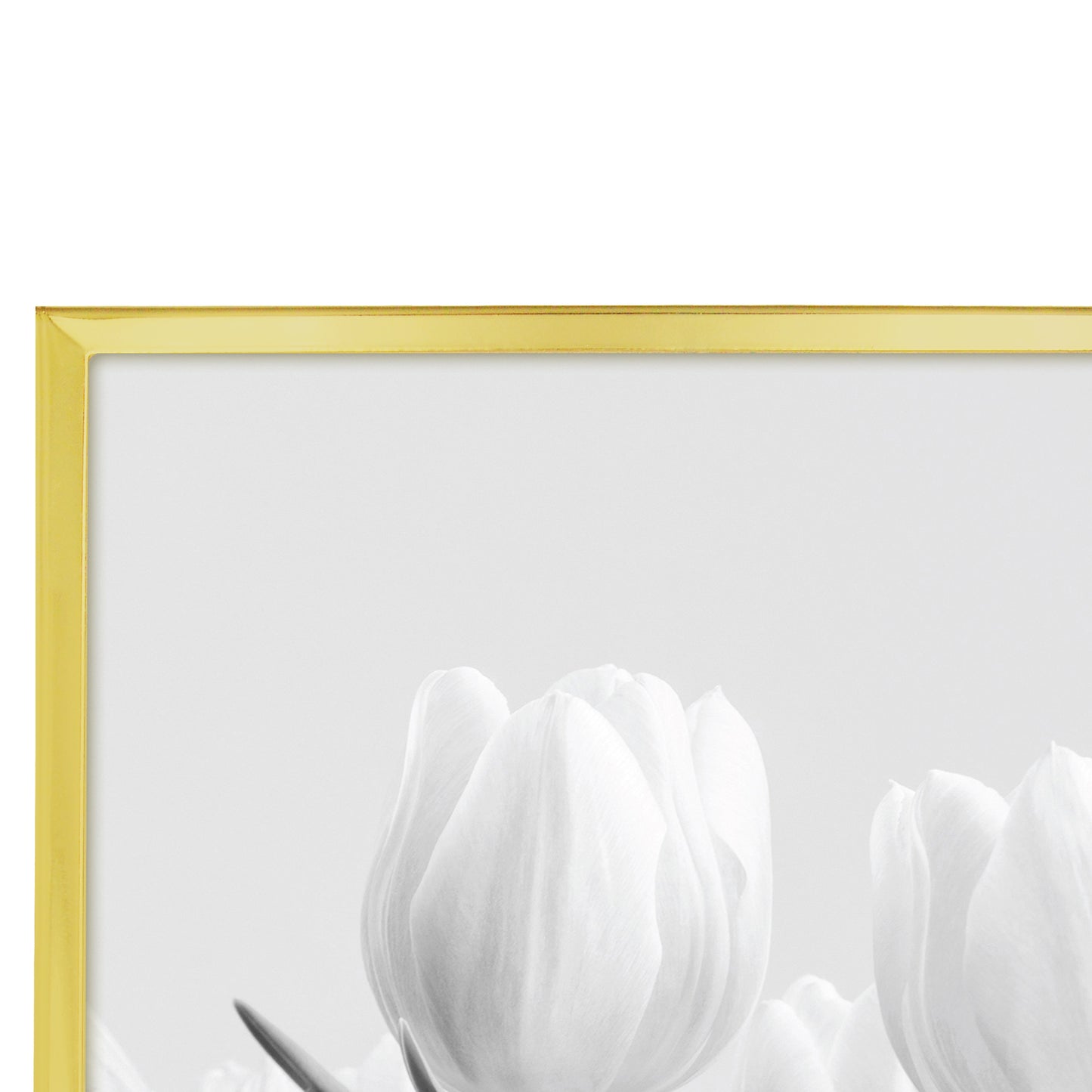 DIMFF0507GLD