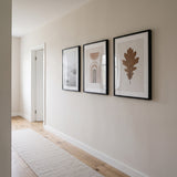 The set hung along a narrow hallway wall above a runner rug 