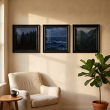 The three-frame poster row in a living room corner 