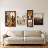 Five unmatted wood frames in walnut, natural oak and mahogany above a linen sofa 