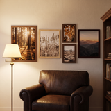 The set above a leather reading chair in a lamp-lit study 